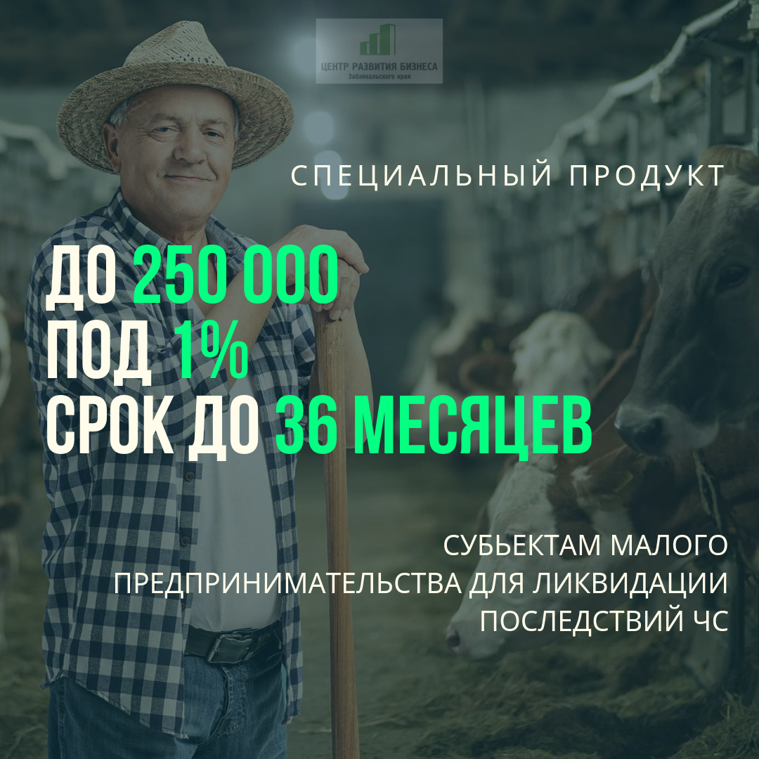 Заём под 1% годовых получат предприниматели края, пострадавшие в результате ЧС