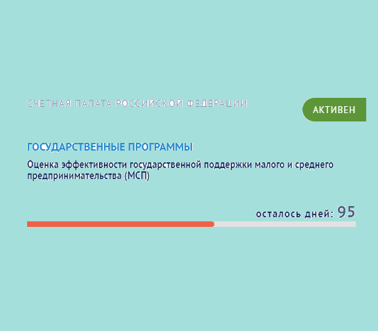 Счетная палата Российской Федерации проводит опрос субъектов МСП