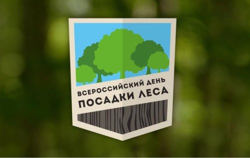 Сотрудники Минсоцзащиты Забайкальского края приняли участие во Всероссийском дне посадки леса