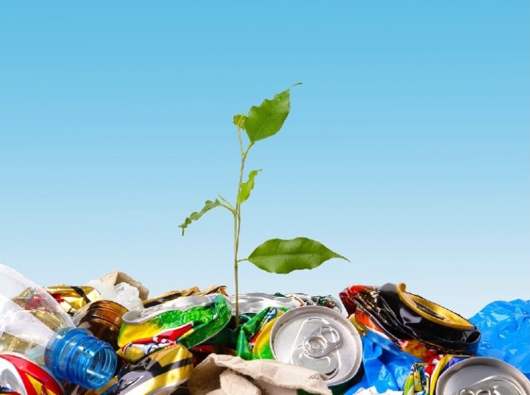РСТ Забайкальского края утверждены нормативы накопления твердых коммунальных отходов по данным сезонных замеров!