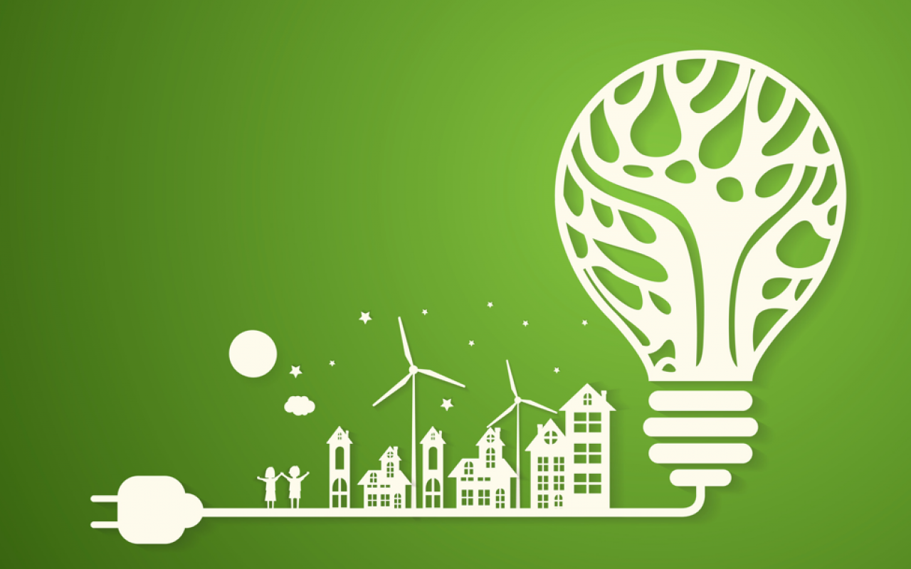 О представлении регулируемыми организациями отчета об энергосбережении и повышении энергетической эффективности