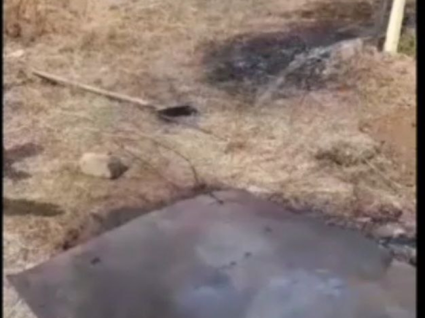 Лесничий Дульдургинского района застал виновника лесного пожара на месте возгорания