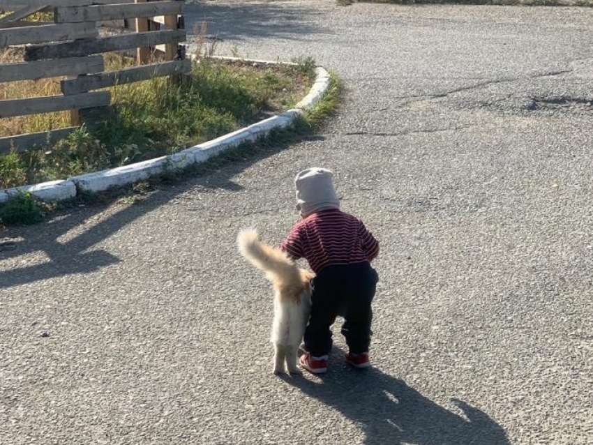 Львиное имя получил новорожденный из Читы