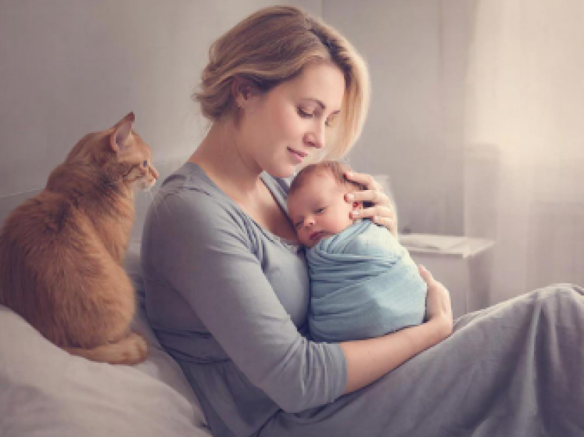 Рыцарское имя получил новорождённый в селе Михайло-Павловск